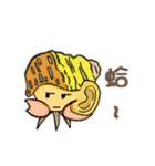 Hermit crab daily life（個別スタンプ：24）