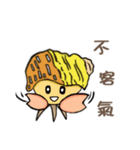 Hermit crab daily life（個別スタンプ：26）