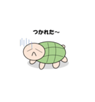 日常のかめくん（個別スタンプ：13）