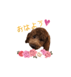 愛犬ルイくん（個別スタンプ：14）