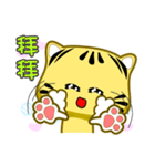 Cute striped cat. CAT143（個別スタンプ：25）