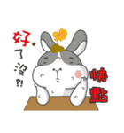 Funny life with rabbit and chicken（個別スタンプ：18）