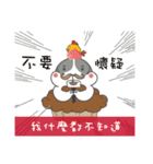 Funny life with rabbit and chicken（個別スタンプ：34）