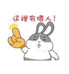 Funny life with rabbit and chicken（個別スタンプ：35）