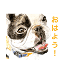 Dogs＆Cats ごあいさつ(日本語＆関西弁)（個別スタンプ：1）