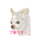 Dogs＆Cats ごあいさつ(日本語＆関西弁)（個別スタンプ：3）