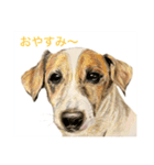 Dogs＆Cats ごあいさつ(日本語＆関西弁)（個別スタンプ：6）