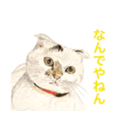 Dogs＆Cats ごあいさつ(日本語＆関西弁)（個別スタンプ：12）