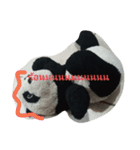 little  cute pandas（個別スタンプ：22）