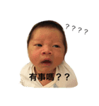 ToRo BaBy（個別スタンプ：16）