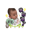 Peas bean looks at the world.（個別スタンプ：4）