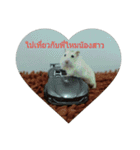 Hamster Winter White（個別スタンプ：1）