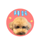 Lovely puppy Circle.（個別スタンプ：10）