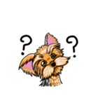 Yorkshire Terrier and Friends（個別スタンプ：5）