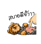 Yorkshire Terrier and Friends（個別スタンプ：6）