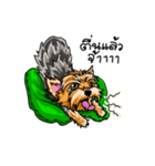 Yorkshire Terrier and Friends（個別スタンプ：14）