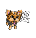 Yorkshire Terrier and Friends（個別スタンプ：15）