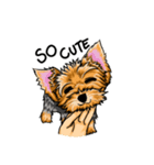 Yorkshire Terrier and Friends（個別スタンプ：26）