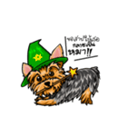 Yorkshire Terrier and Friends（個別スタンプ：34）