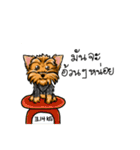 Yorkshire Terrier and Friends（個別スタンプ：37）