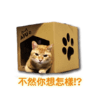 MIXCAT TICKY（個別スタンプ：4）