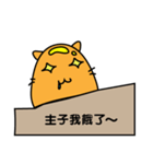 Master Egg Cat（個別スタンプ：7）