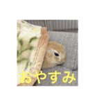 monaka rabbit picuture 3（個別スタンプ：6）