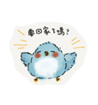 青い鳥マンエちゃん Vol. 01（個別スタンプ：39）
