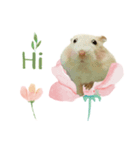 hamster Lulu and White（個別スタンプ：3）