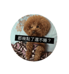 DOG BOMI HEMI（個別スタンプ：3）