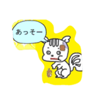 kumamotokenew（個別スタンプ：1）