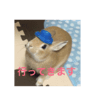 monaka rabbit picuture4（個別スタンプ：1）