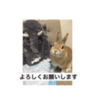 monaka rabbit picuture4（個別スタンプ：8）