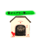 シャルトリューの猫さん（個別スタンプ：4）