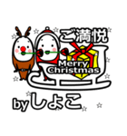 shoko's Christmas tweet.（個別スタンプ：31）