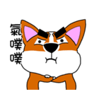 Thick eyebrows corgi's daily life（個別スタンプ：2）