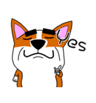 Thick eyebrows corgi's daily life（個別スタンプ：7）