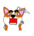 Thick eyebrows corgi's daily life（個別スタンプ：9）