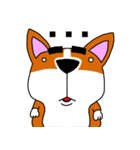 Thick eyebrows corgi's daily life（個別スタンプ：10）