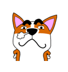 Thick eyebrows corgi's daily life（個別スタンプ：11）