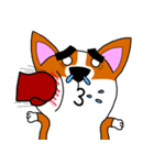 Thick eyebrows corgi's daily life（個別スタンプ：14）