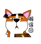 Thick eyebrows corgi's daily life（個別スタンプ：17）