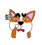 Thick eyebrows corgi's daily life（個別スタンプ：18）