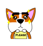 Thick eyebrows corgi's daily life（個別スタンプ：21）