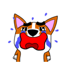 Thick eyebrows corgi's daily life（個別スタンプ：24）