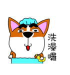 Thick eyebrows corgi's daily life（個別スタンプ：26）