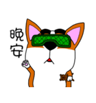 Thick eyebrows corgi's daily life（個別スタンプ：28）