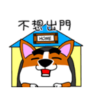 Thick eyebrows corgi's daily life（個別スタンプ：29）