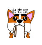 Thick eyebrows corgi's daily life（個別スタンプ：30）