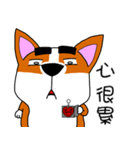 Thick eyebrows corgi's daily life（個別スタンプ：33）